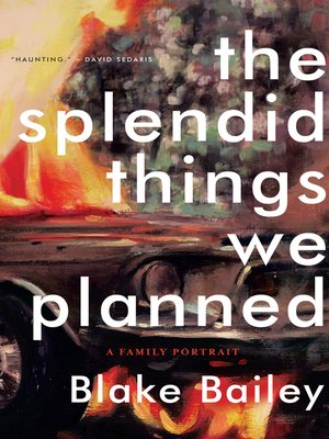 cover image of The Splendid Things We Planned